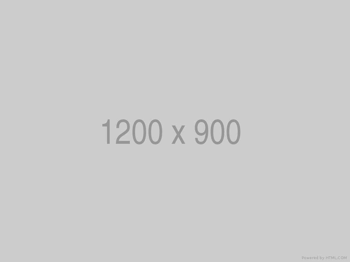 Photo 02